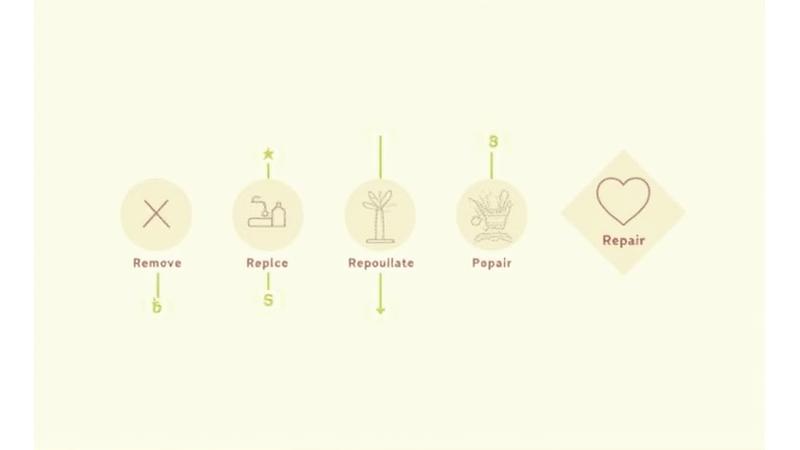 Eine schematische Darstellung des 4R-Protokolls für Darmheilung und Regeneration
